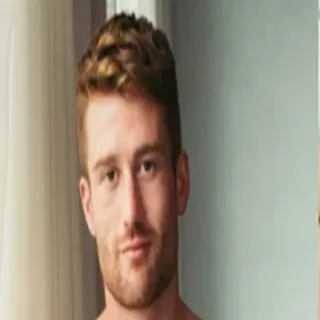 Robert Mester porno yıldızı