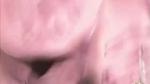 Asyalı ve Esmer Seks Anları ve Porno Sahnesi